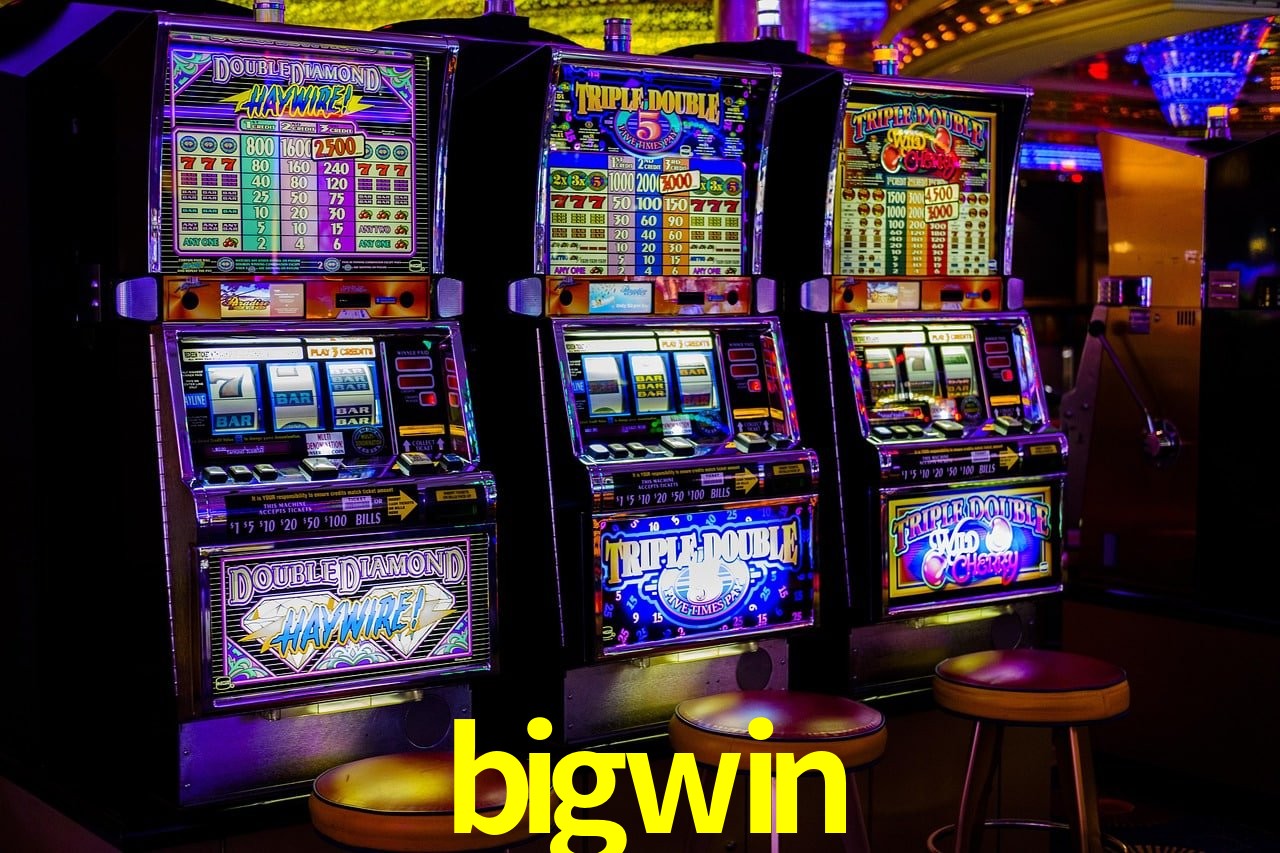 Programa VIP bigwin